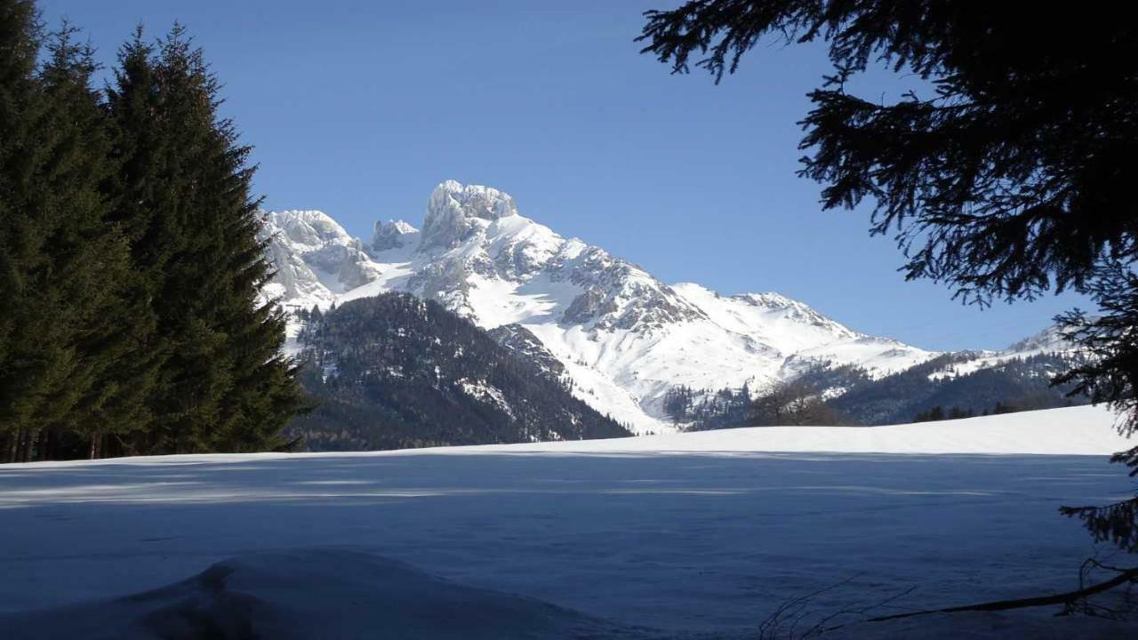 Berg Chalet Annaberg im Lammertal Ngoại thất bức ảnh